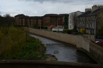 DSC_7307 (Large).JPG